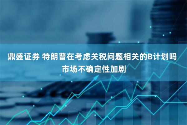 鼎盛证券 特朗普在考虑关税问题相关的B计划吗 市场不确定性加剧