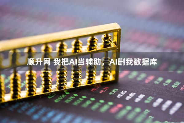 顺升网 我把AI当辅助，AI删我数据库