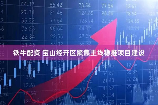 铁牛配资 宝山经开区聚焦主线稳推项目建设