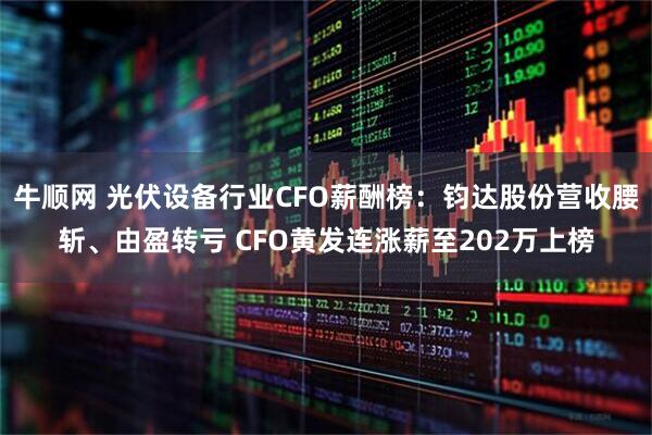 牛顺网 光伏设备行业CFO薪酬榜：钧达股份营收腰斩、由盈转亏 CFO黄发连涨薪至202万上榜