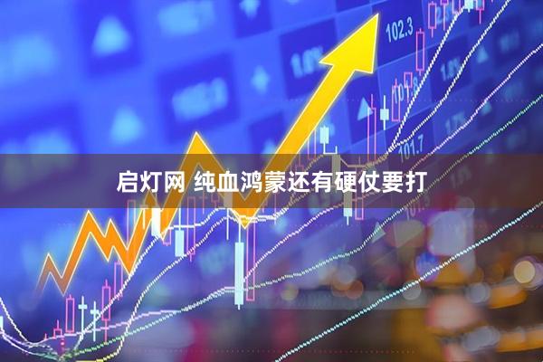 启灯网 纯血鸿蒙还有硬仗要打