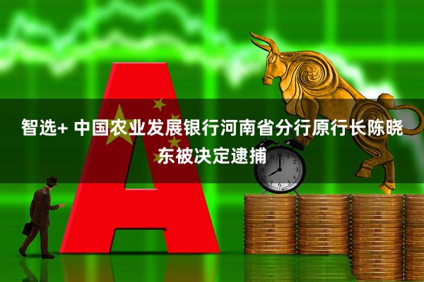 智选+ 中国农业发展银行河南省分行原行长陈晓东被决定逮捕