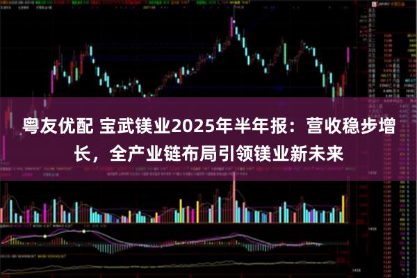 粤友优配 宝武镁业2025年半年报：营收稳步增长，全产业链布局引领镁业新未来