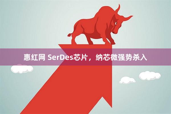 惠红网 SerDes芯片，纳芯微强势杀入