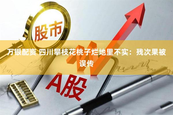 万银配资 四川攀枝花桃子烂地里不实：残次果被误传